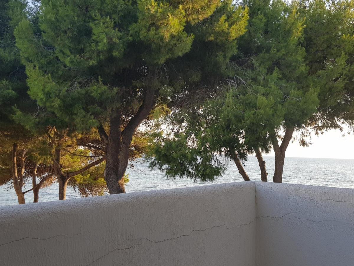 Appartamento La Caletta ガリポリ エクステリア 写真